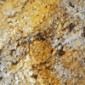 Aries Granite